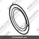 Badge, Clutch Cover, TFC (T1268210)