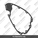 Gasket, Alternator Cover (T1268765)