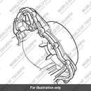 Alternator Cover (T1268767)