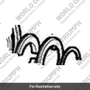 Cap, Collet (T1270865)