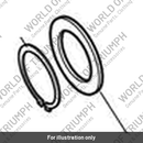 Circlip (T1270870)