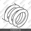 Spring, Torsional Damper (T1278001)