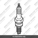 Spark plug (T1290023)
