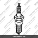 Spark Plug, DPR8EA-9 (T1290024)