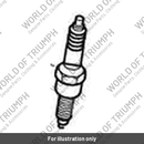 Spark Plug, DPR 7EA-9 (T1290180)