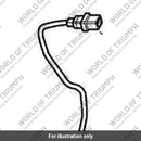 Sensor, Water Temperature (T1290623)