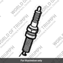 Spark Plug, M10 x 26.5, Hex 14 (T1290759)