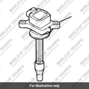 Coil, Ignition, Plug Top (T1291505)