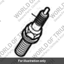 Spark Plug (T1296501)