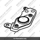 Regulator assembly (T1300016)