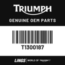 O Ring, Alternator, External (T1300187) barcode