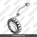 Stator, Alternator (T1300510)