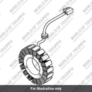 Stator Alternator (T1300610)