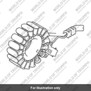 Stator, Alternator (T1302452)