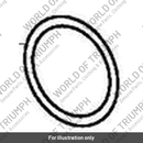 O Ring (T1310310)