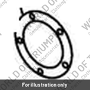 Blanking Plate, Pulser Ring (T2000136)