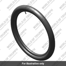 Inner Tube, 21 Inch (T2000845)