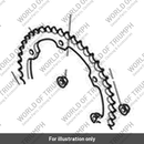 Rear Sprocket, 44T (T2010188)