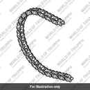 Connecting Link Assy, 525 (T2011215)