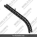 Chain, Spare, 525V11, 102L (T2011332)