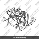 Rim, Rear Wheel (T2018883)