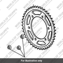 Sprocket, Rear, 41T, 520 (T2018890)
