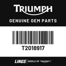 Rear Wheel Assy, Gold Pinstripe (T2018917) barcode