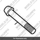 Bolt, SKT HD, M10 x 56, SLV (T2020391)