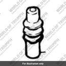 Gaiter (T2020429)