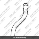 Hose (T2020438)