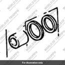 Seal Kit, 2 Piston Caliper (T2020505)