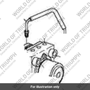 Hard Line, Rear Caliper, Abs (T2020575)