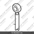 Braided Brake Hose (T2021072)