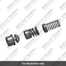 Piston Set, M/Cyl, 15.875 (T2021301)