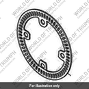 Pulser Ring, Rear (T2021492)