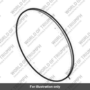 Shim (T2021696)