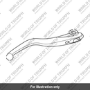 Brake Lever, Black (T2022121)