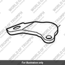 Bracket, Front M/Cyl Reservoir, Blk (T2022219)