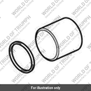 Piston & Seal Kit (T2022339)