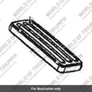Brake Pedal Assy (T2023001)