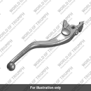 Front Brake Lever (T2024243)