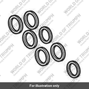 Piston & Seal Kit, Caliper (T2024925)