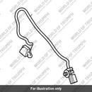 Brake Switch, SPDT (T2024932)