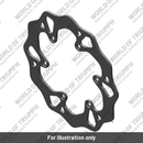 Rear Disc, EN (T2025031)