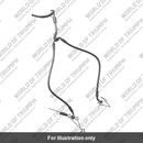 Brake Line, Front Caliper (T2025168)