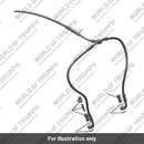 Brake Line, Front Caliper (T2026092)