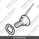 Wave Spring, Brake Disc (T2027009)