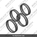 Seal Kit, 2 Piston Caliper (T2027745)