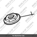 Cover, Headstock Assy (T2040259)