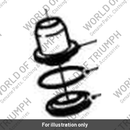O ring (T2040431)